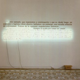 "W.S.P. 11" 73 x 234 x 18 cm. 
Fotografìa, 7 neones y transformador. Pieza unica. 1987